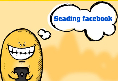 Seeding facebook là gì và phương pháp Seeding hiệu quả